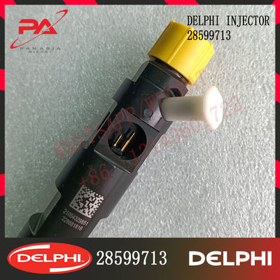28599713 4D20M EJBR05102D DELPHI Diesel Injector